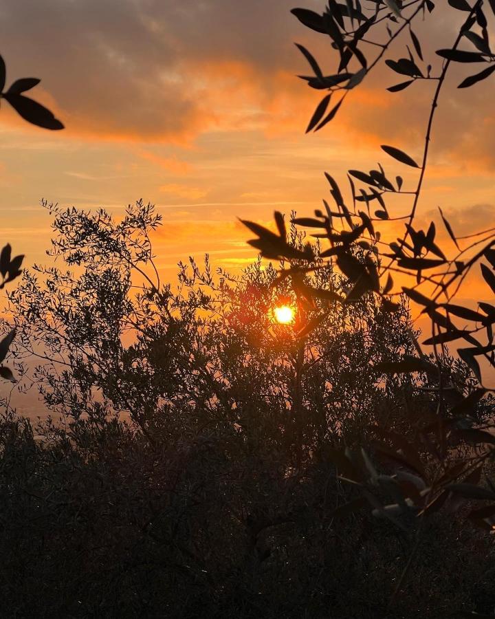 Poggio Alla Pieve Relais Calenzano Exteriör bild